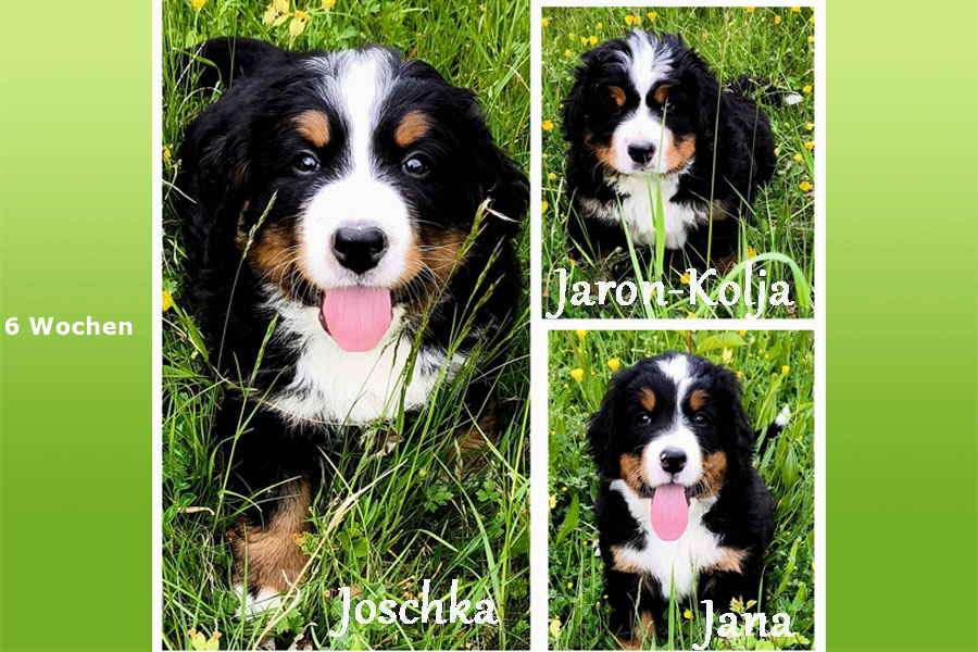 J-BEUCHENBERG-6-WO J-BEUCHENBERG-6-WO