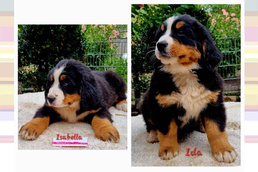 KH-ISABELLA-IDA KH-ISABELLA-IDA