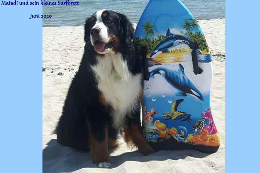 Matadi-surfbrett-1