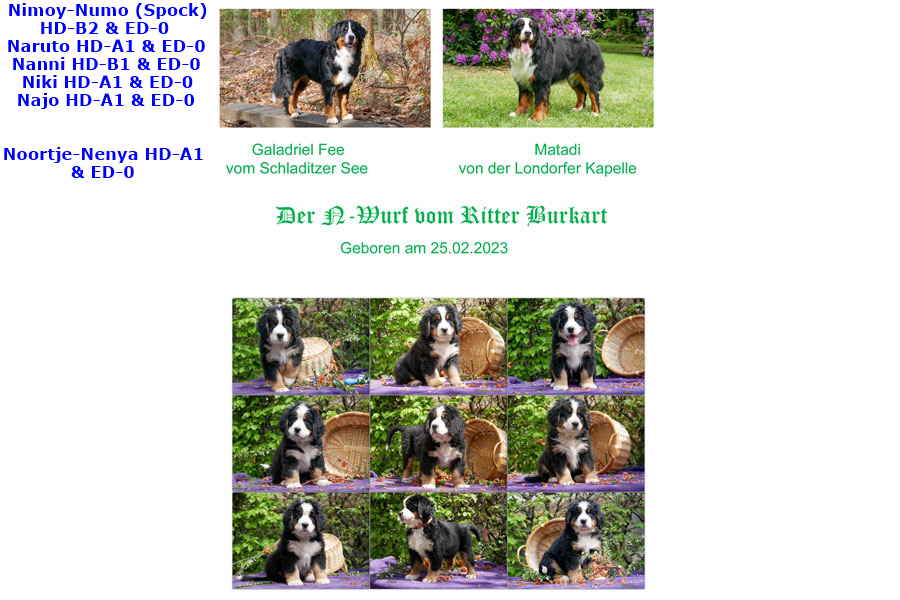 N-RITTER-BURKART-8-WOCH N-RITTER-BURKART-8-WOCH