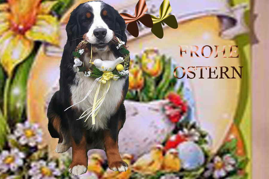 ostern-matadi-2020