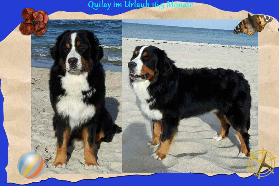 quilay-urlaub-0916