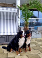 Matadi & Uccas Priwall November 2025 Matadi & Uccas Priwall November 2025