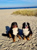 UCCAS & MATADI auf dem PRIWALL im November 2025 UCCAS & MATADI auf dem PRIWALL im November 2025