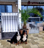 Matadi & Uccas Priwall November 2025 Matadi & Uccas Priwall November 2025