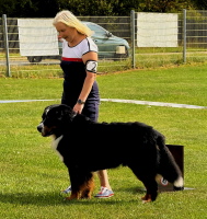Uccas zur LG Schau Gotha 30.08.2026 Uccas zur LG Schau Gotha 30.08.2026
