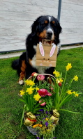 Ostern 05.04.2026