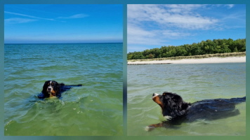 Schwimmen ist einfach toll, Uki Zingst 06/2026 Schwimmen ist einfach toll, Uki Zingst 06/2026