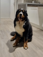 UCCAS Priwall November 2025 UCCAS Priwall November 2025