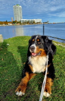 UCCAS Priwall November 2025 UCCAS Priwall November 2025