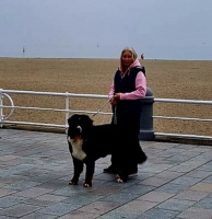 UCCAS und ich UCCAS und ich