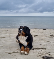 URLAUB ZINGST OKTOBER 2025